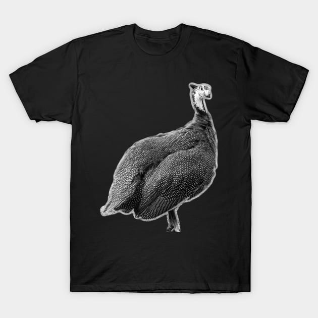 goose T-Shirt by rickylabellevie